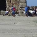 torreflavia-SETTE-600x338